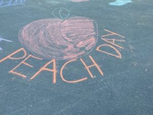 BEACH DAY!- July 29th Blog